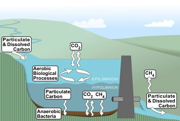 Global Climate Change and Lakes