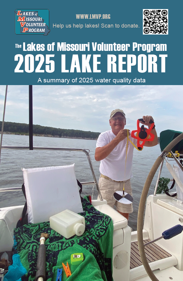 2025 LMVP Data Report