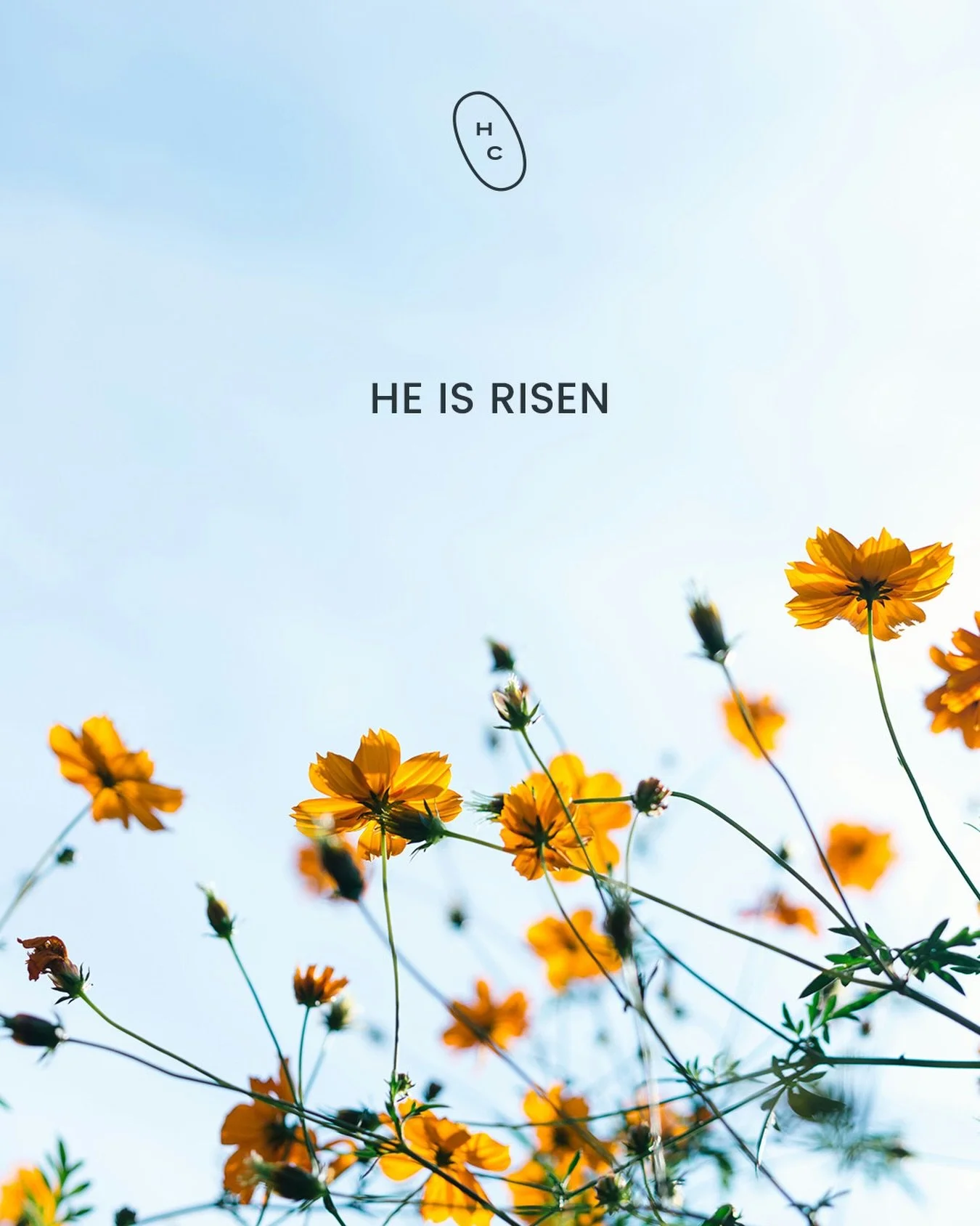 Alleluia! He is risen! Happy Easter! 🤍