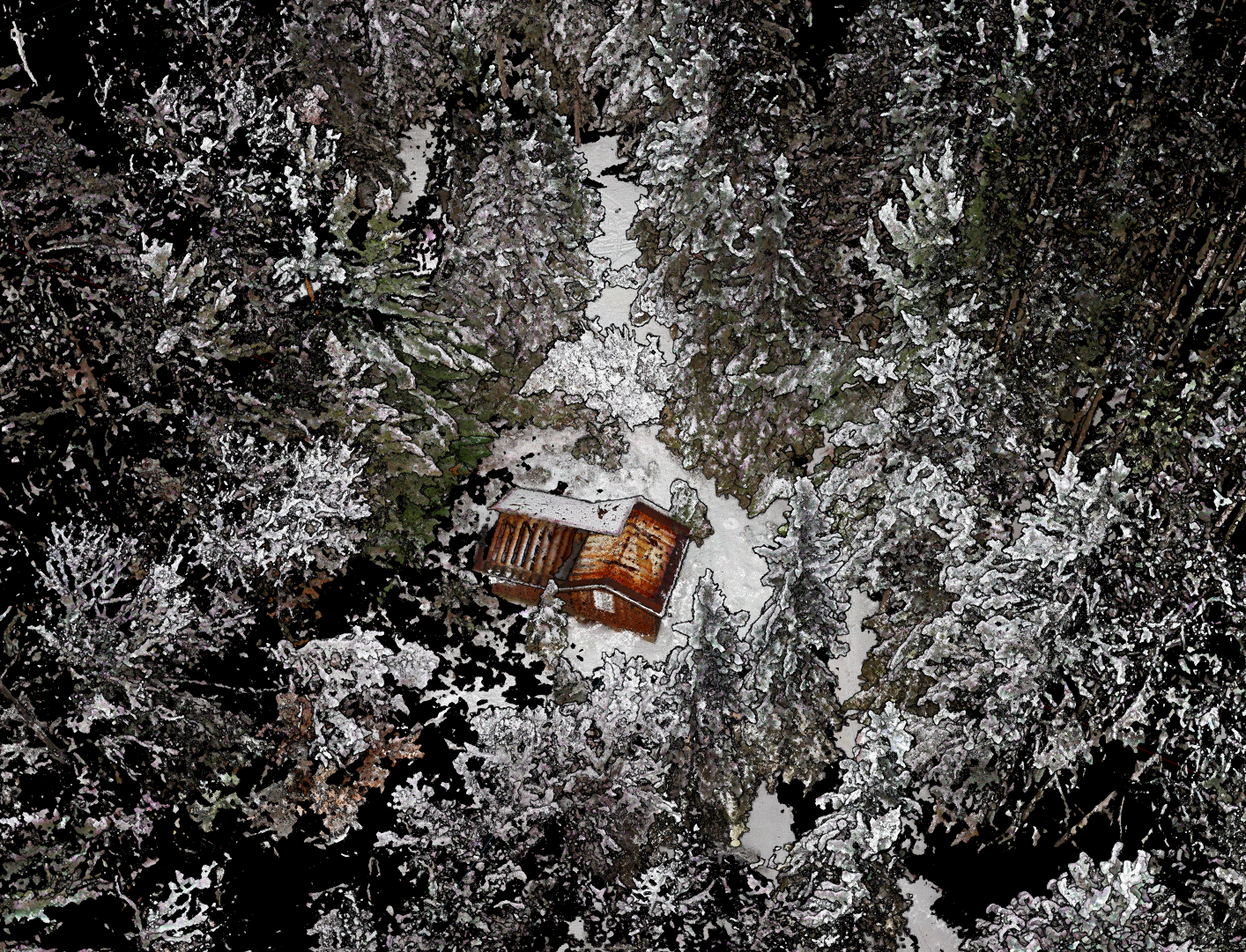Point Clouds in Revit