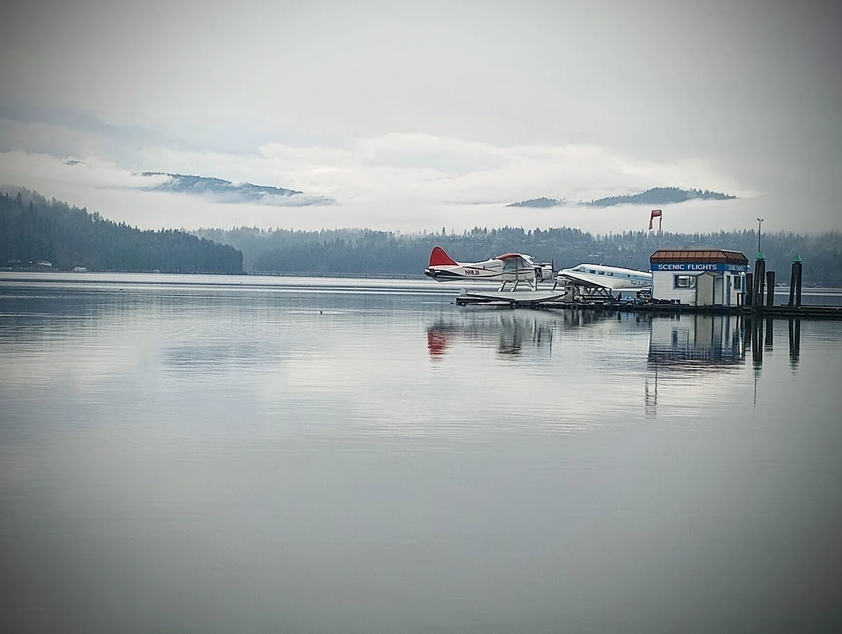 Scenic Flights of Fancy.jpg