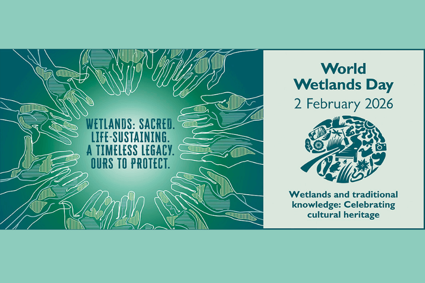 Honoring World Wetlands Day 2026