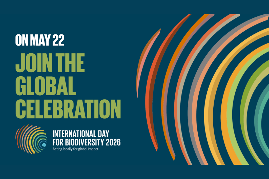 International Day for Biological Diversity: Protecting What Sustains Us All