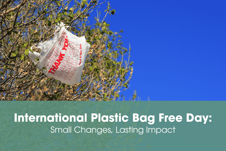 International Plastic Bag Free Day: Small Changes, Lasting Impact