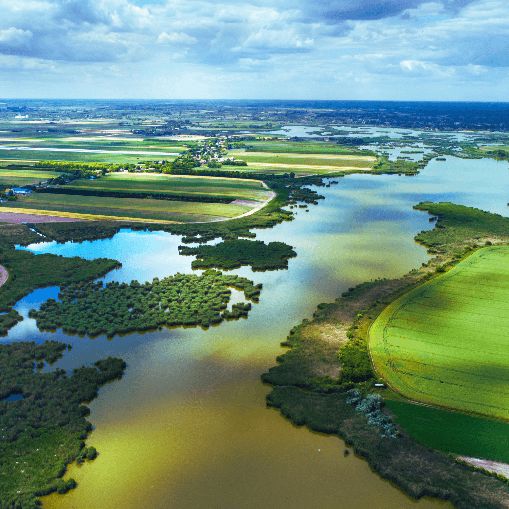 Lake with great diversity