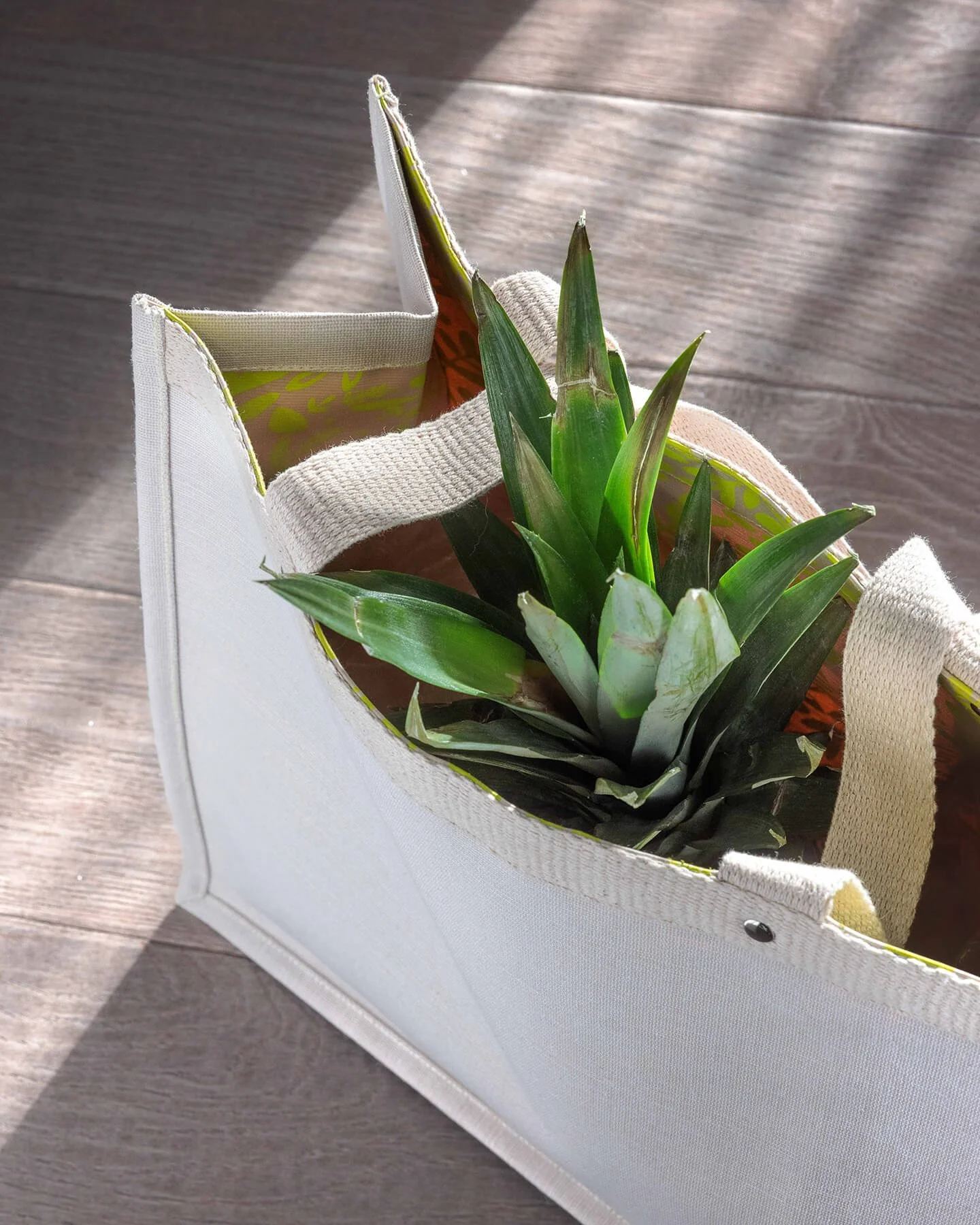 Jute bag with a plant inside from a gardin center