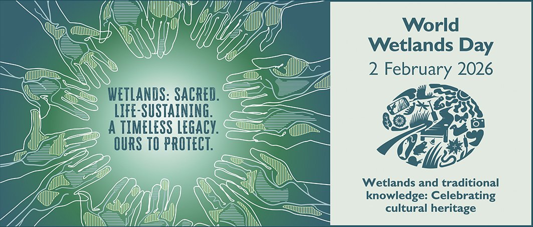 Honoring World Wetlands Day 2026