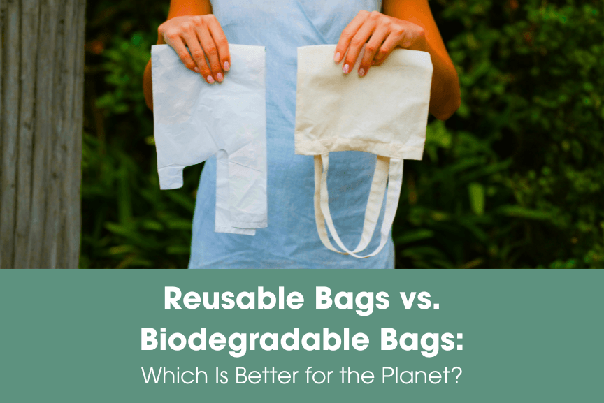 Reusable Bags vs. Biodegradable Bags: Which Is Better for the Planet?