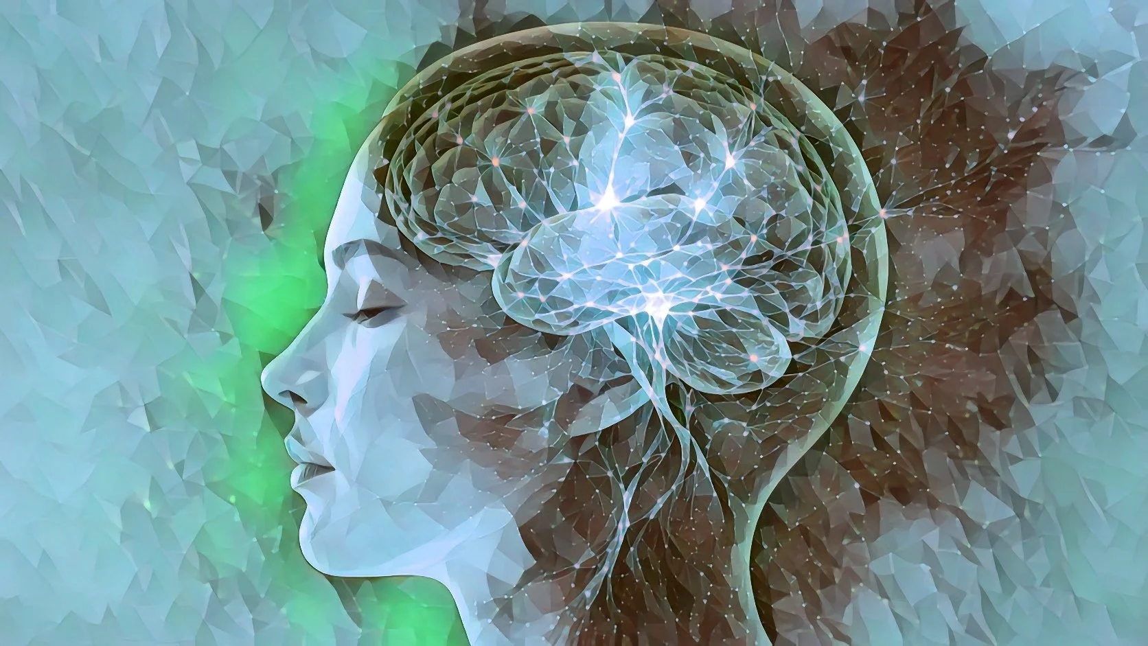 Seven Days to a Different Brain: What the Latest Meditation Research Means for You