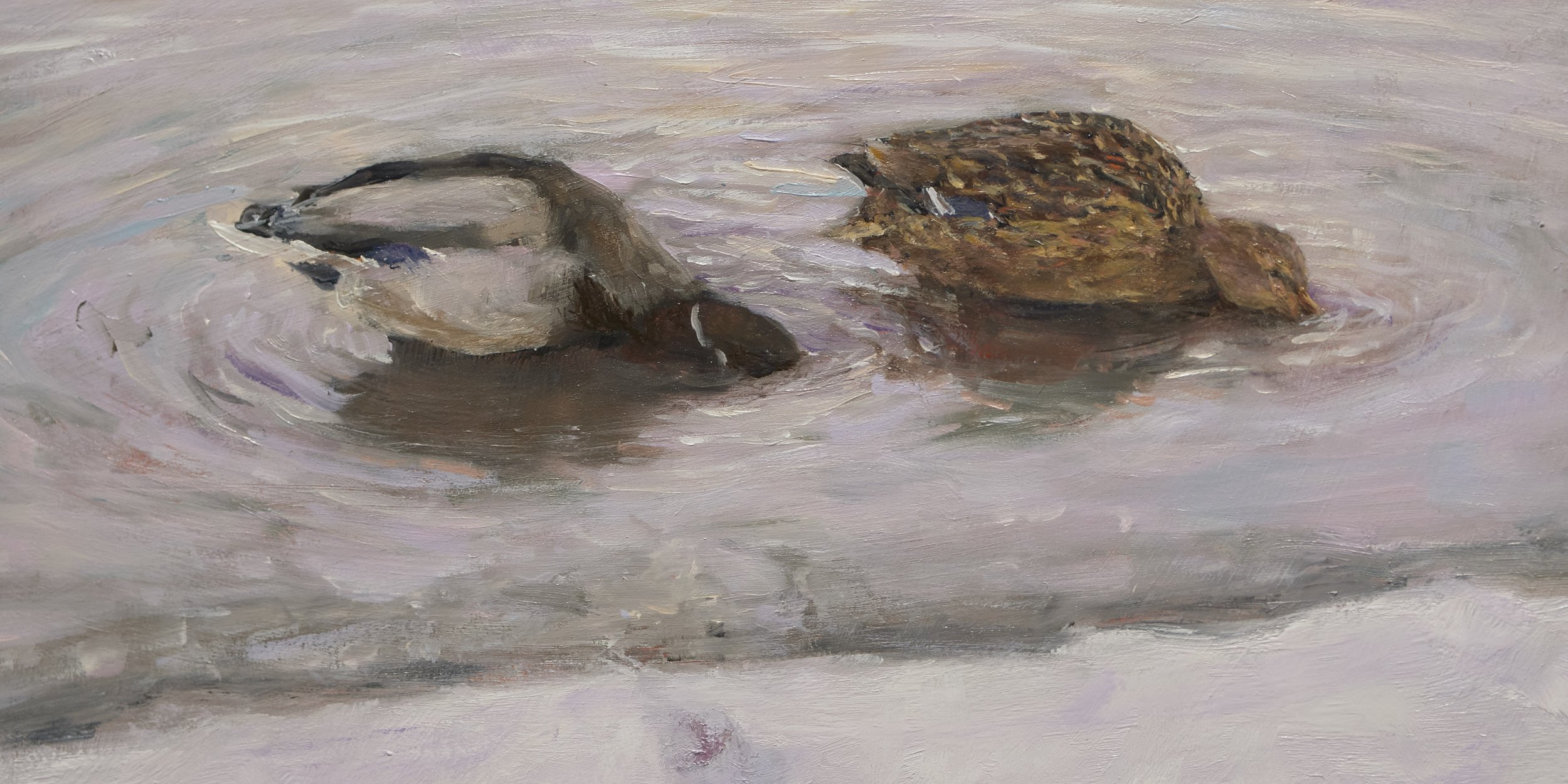 TION-02-a-12MAR-2026 1.jpg