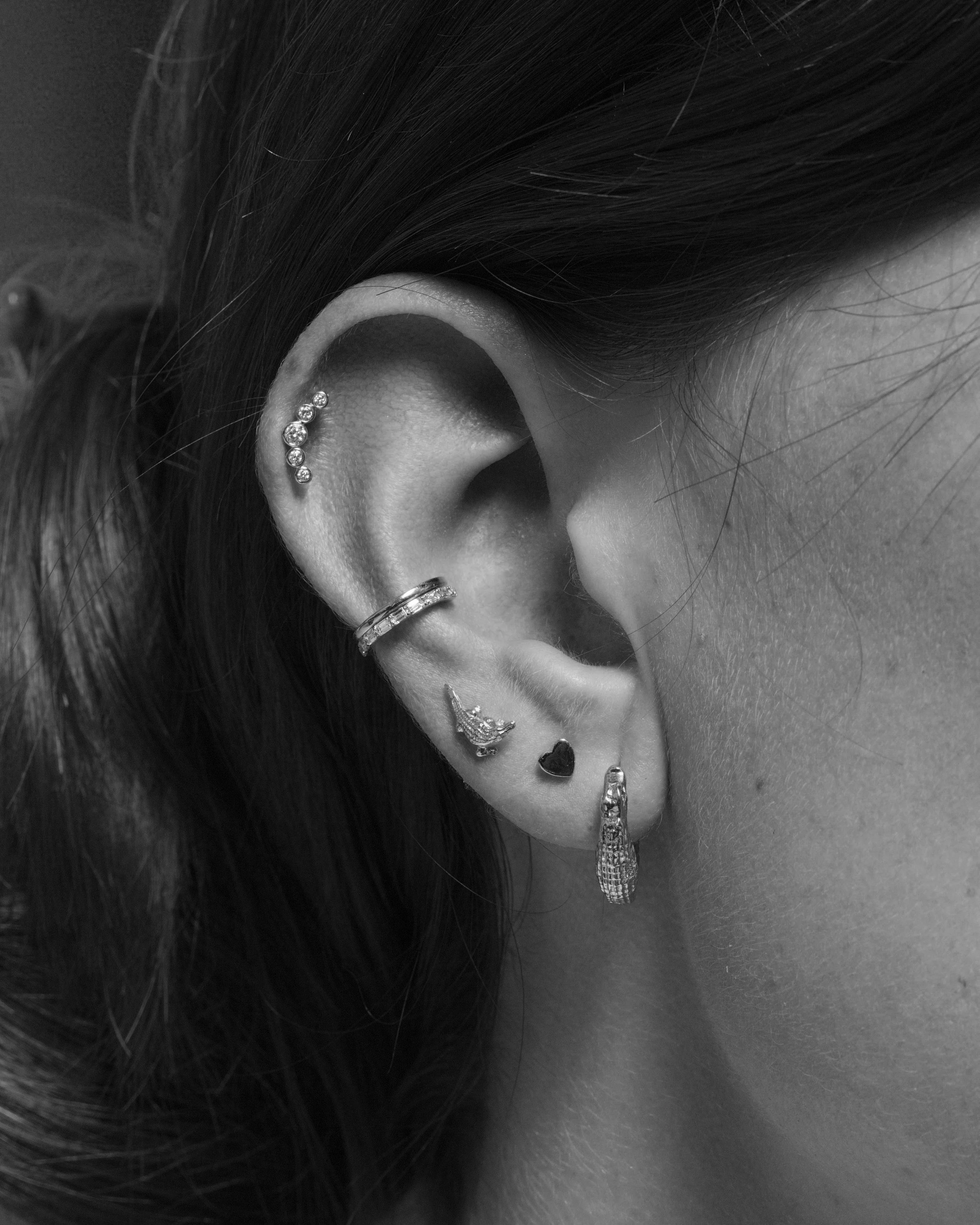 StressFree Piercings in San Jose — Ted D. Bare