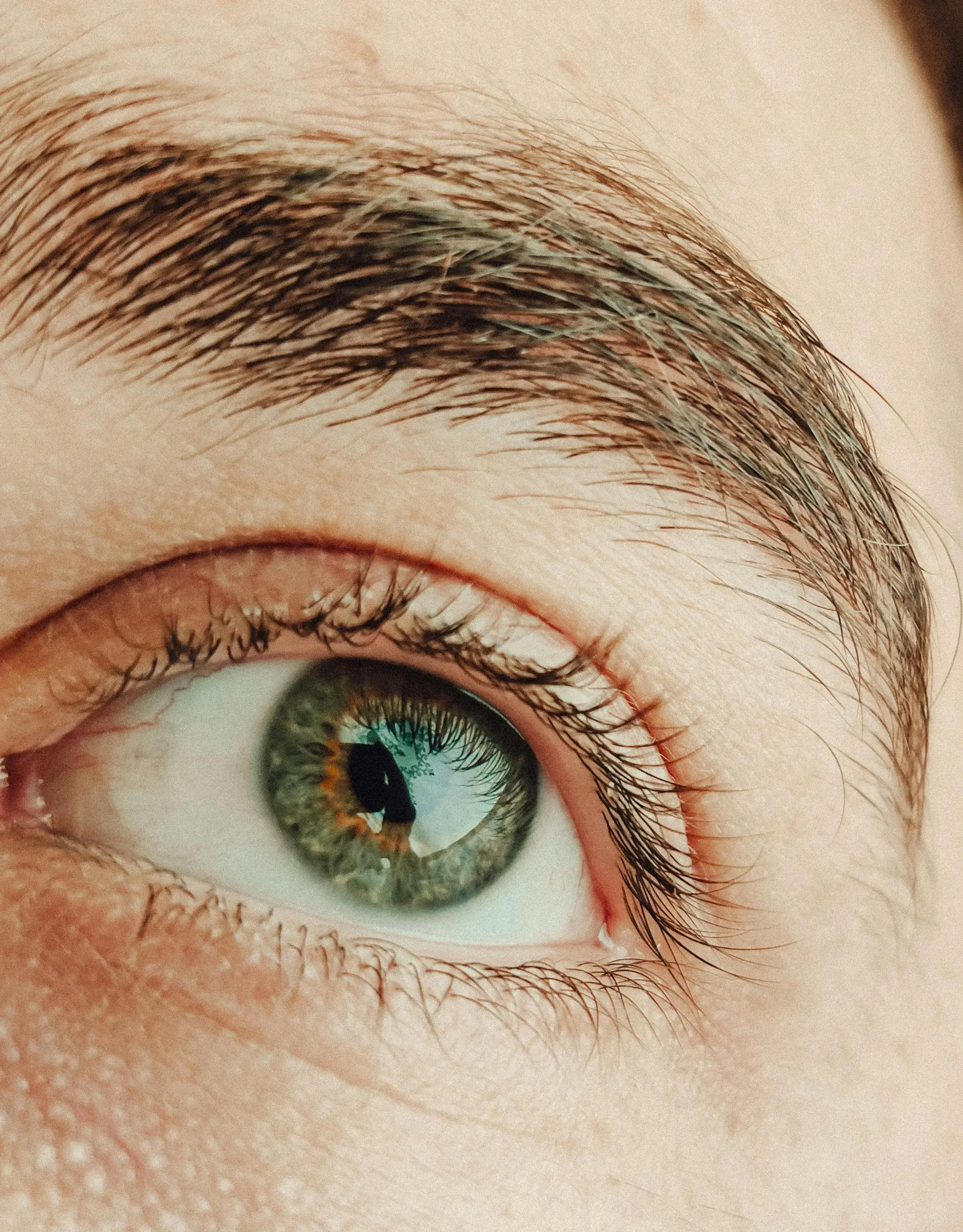 Mans eyebrows