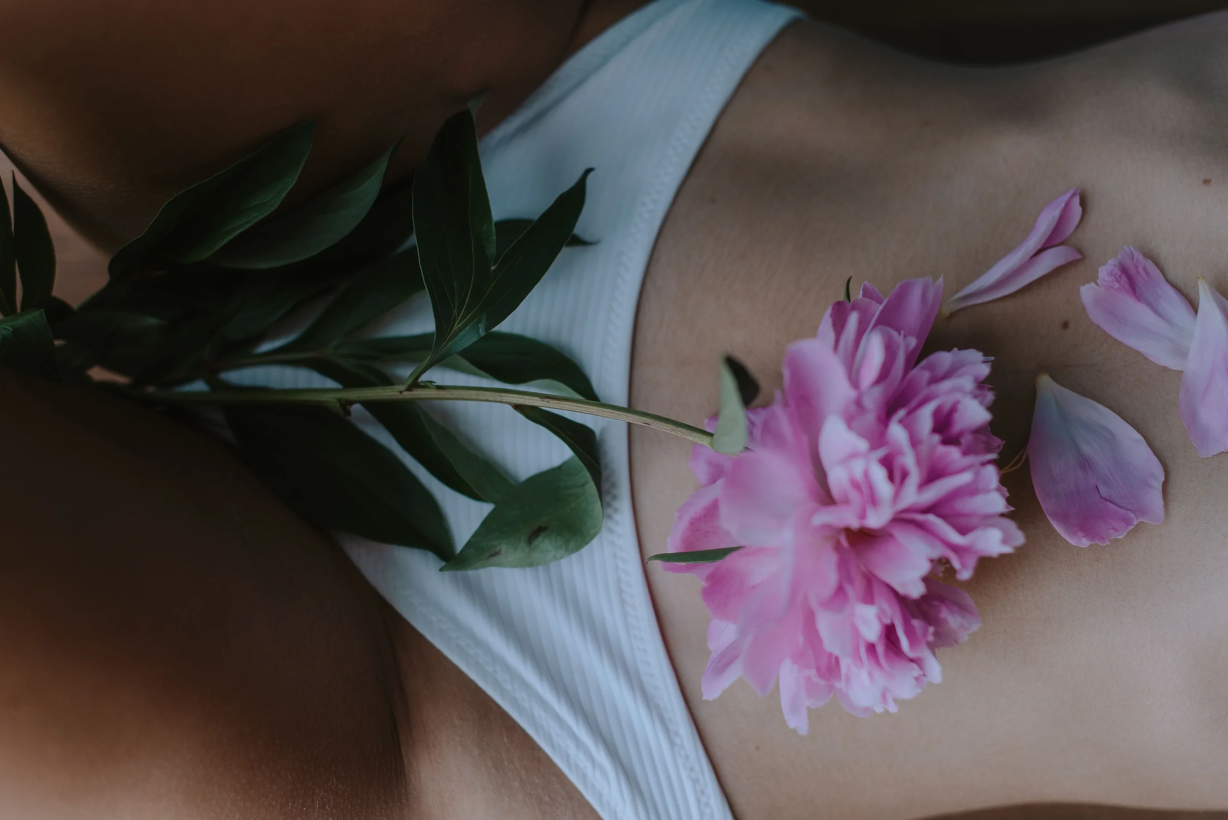 top-down-photo-of-a-person-wearing-white-underwear-with-a-peony-resting-on-their-pubic-area-illustrating-what-is-a-vajacia