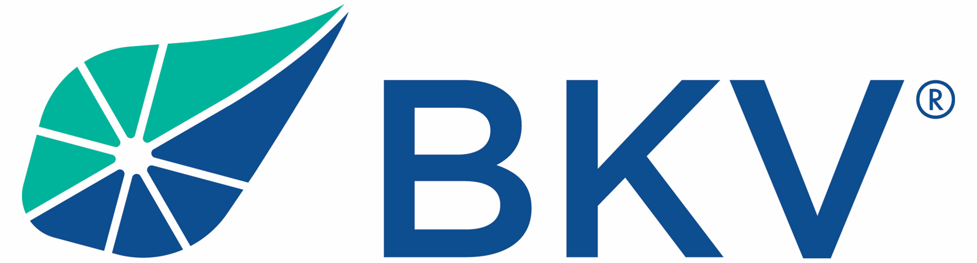 Logo of BKV, featuring a stylized leaf shape divided into teal and navy sections, with the company name in navy text.