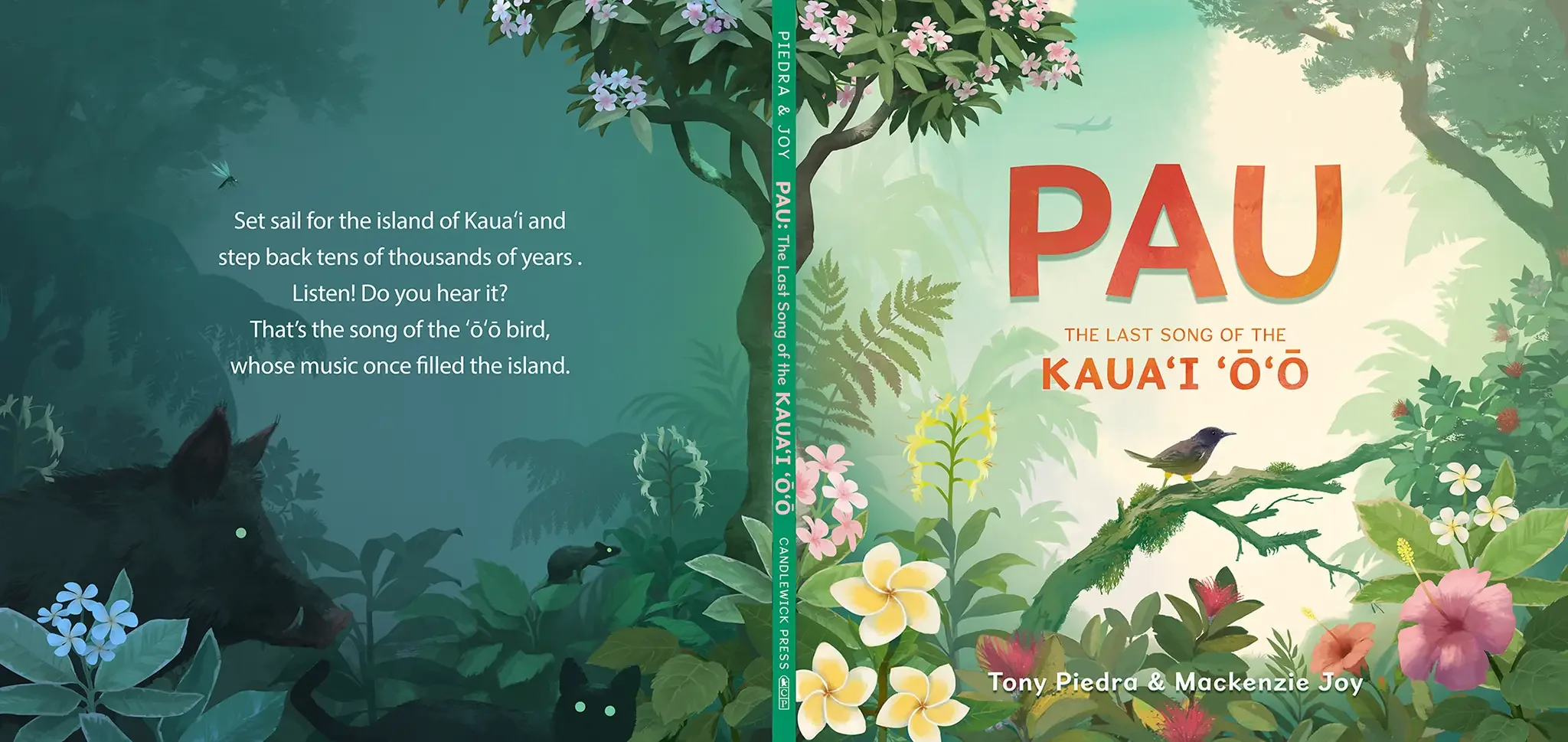 Cover Pau The Last Song of the Kaua'i 'O 'O