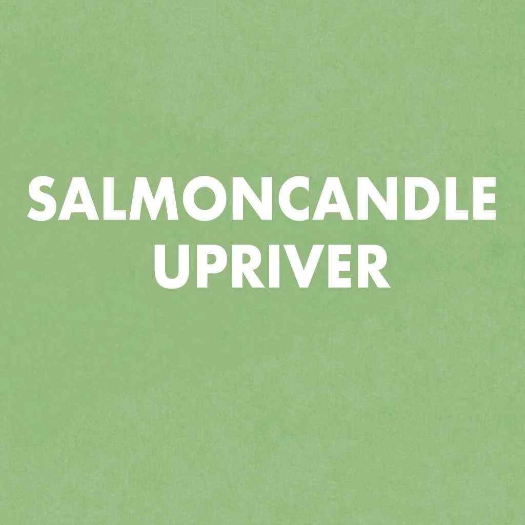 Salmoncandle Upriver