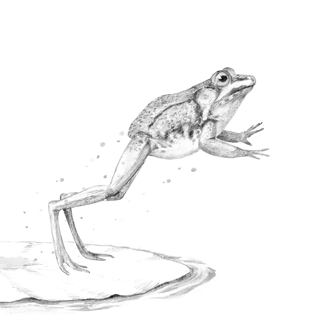 Take the Leap