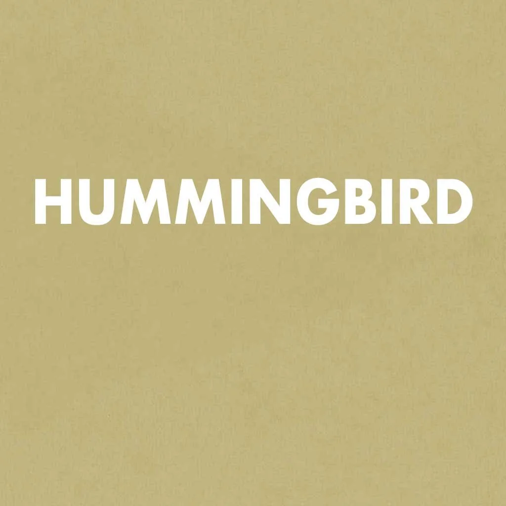 Hummingbird