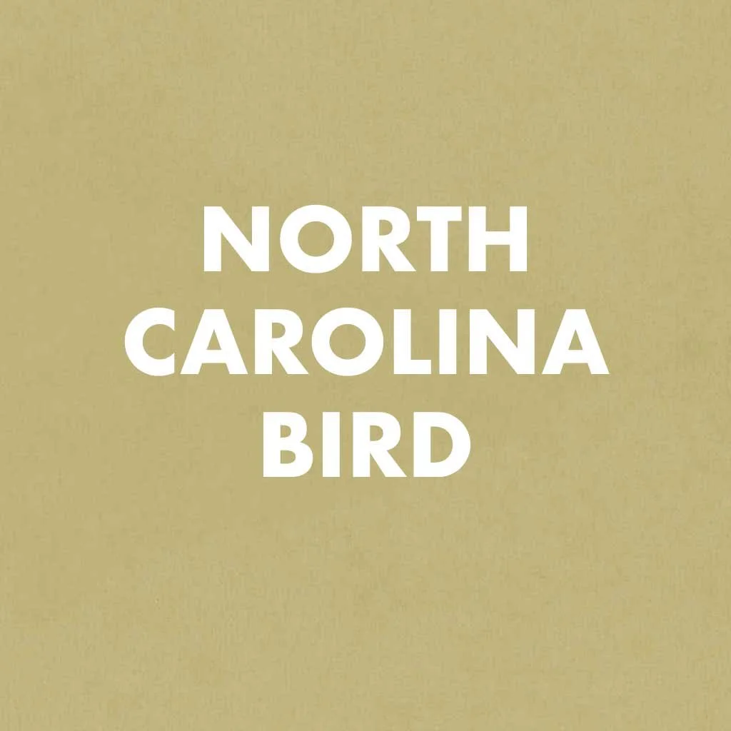 North Carolina Bird