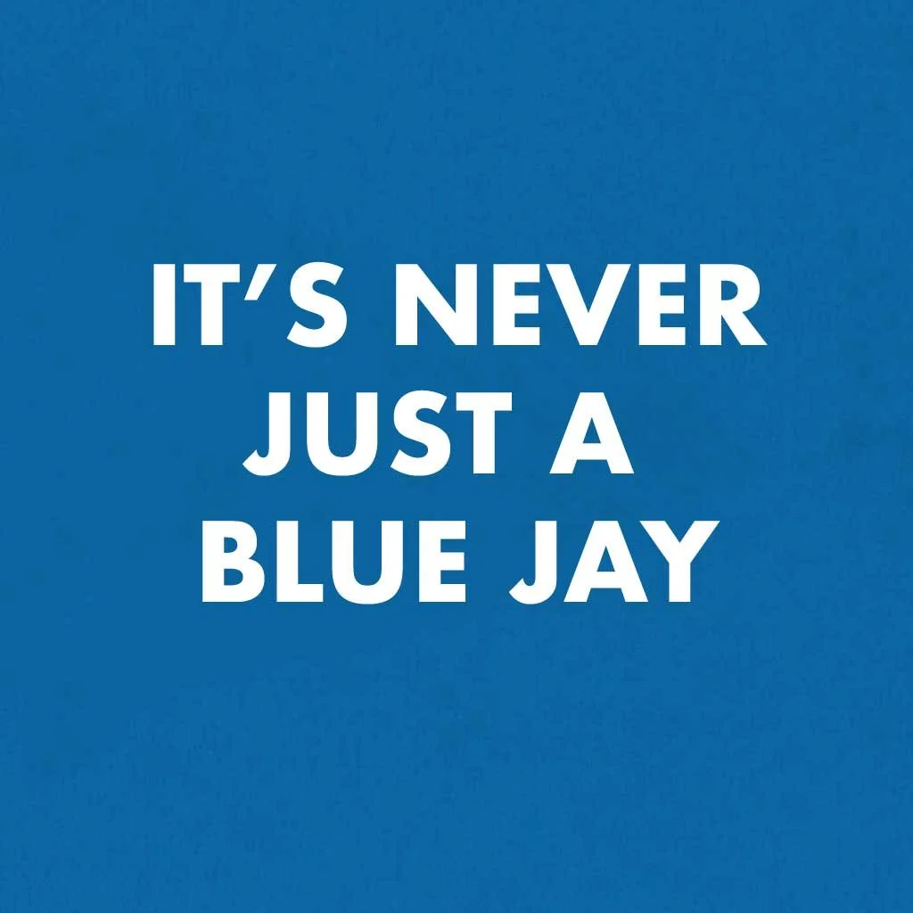 It’s Never Just a Blue Jay