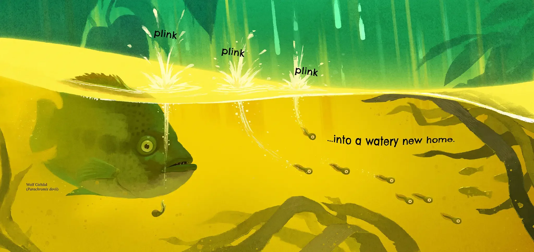 into a watery new home