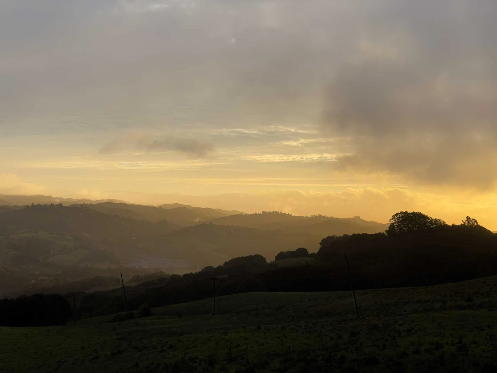 Dawn at Tilden Park