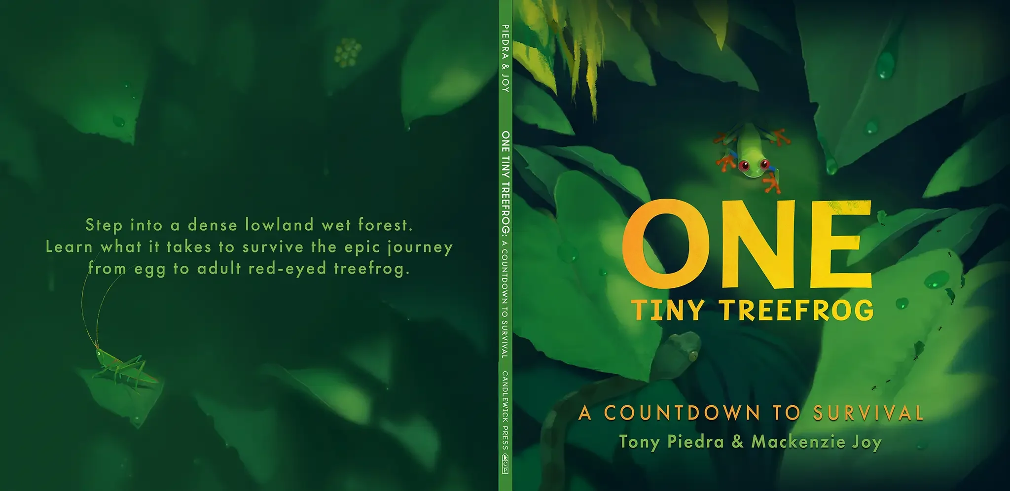 One Tiny Treefrog Cover