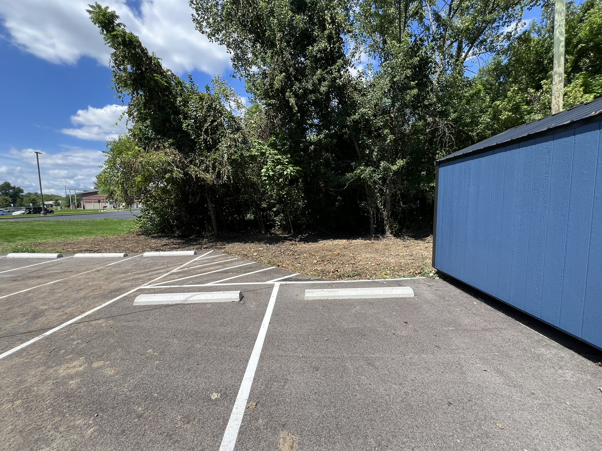 Tight-access brush clearing around a commercial property in Greater Cincinnati