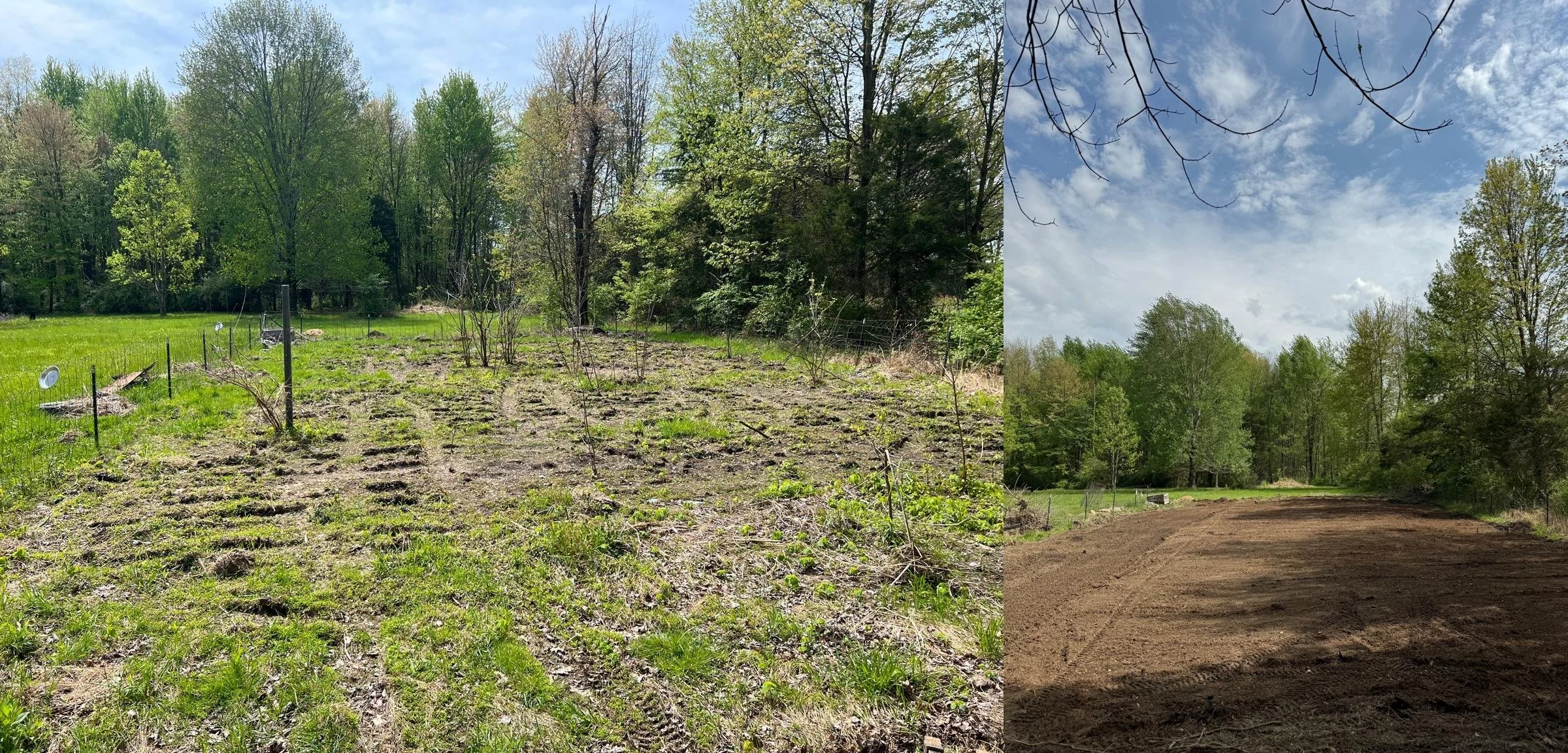Brush clearing and grading dirt.