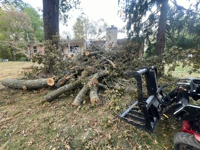 Tight-access land clearing with compact equipment on a Greater Cincinnati property