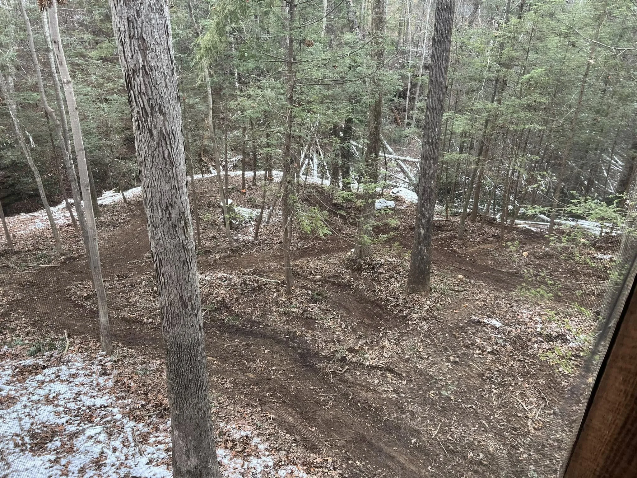 Forestry mulching and wooded property clearing in Greater Cincinnati