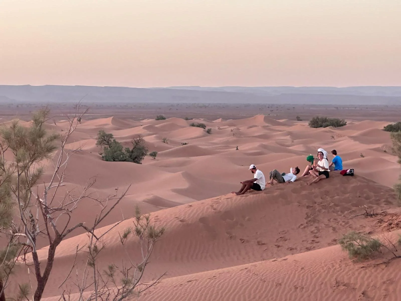 WhatsApp Image 2024-12-27 at 17.41.27 (1).jpeg