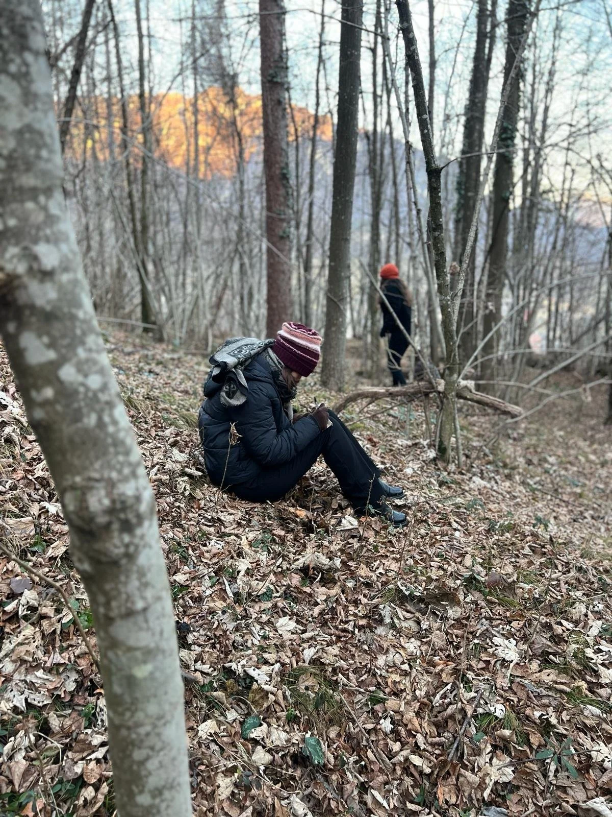 WhatsApp Image 2024-03-19 at 15.30.56 (1).jpeg