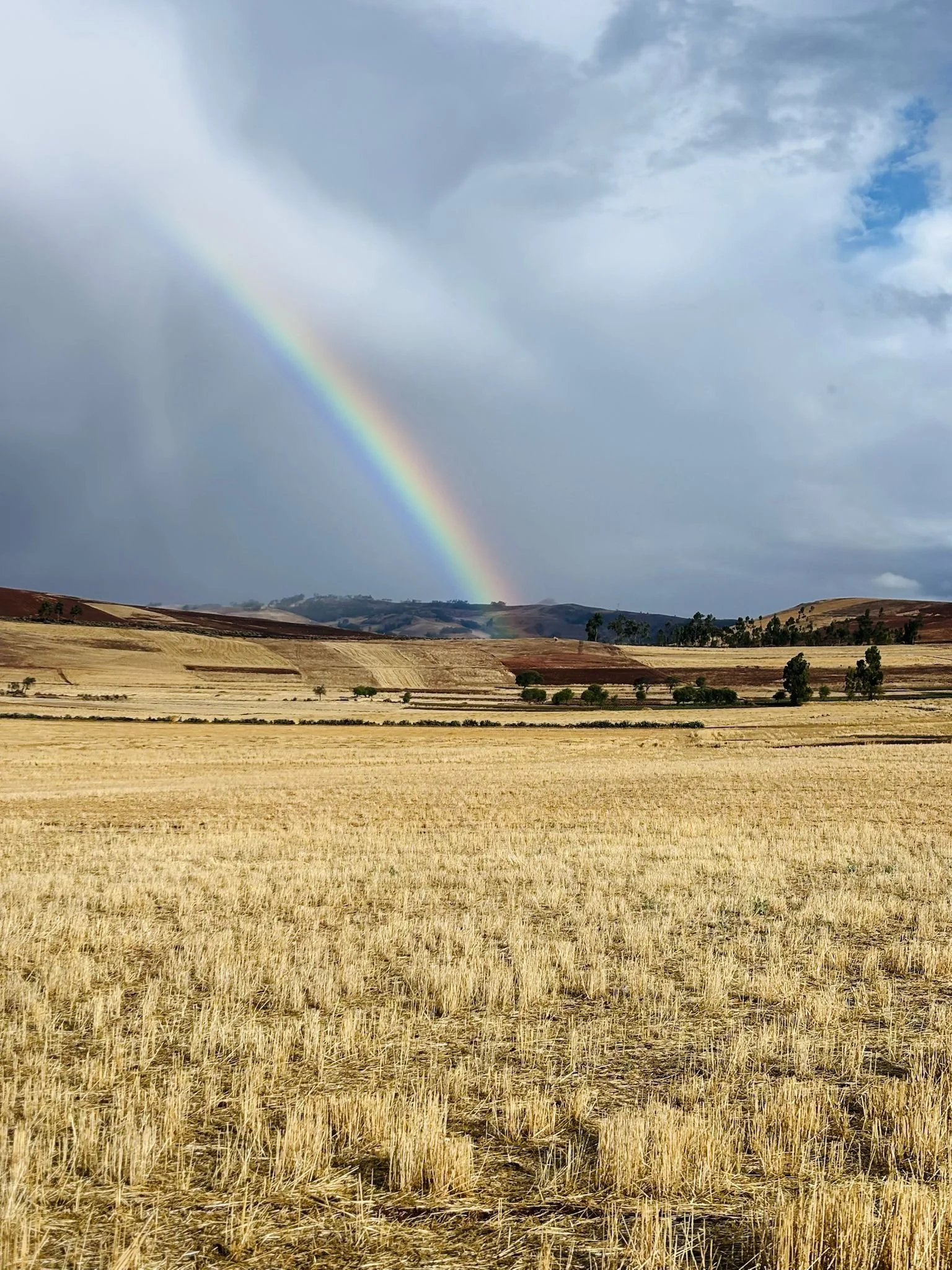 Rainbow.jpg
