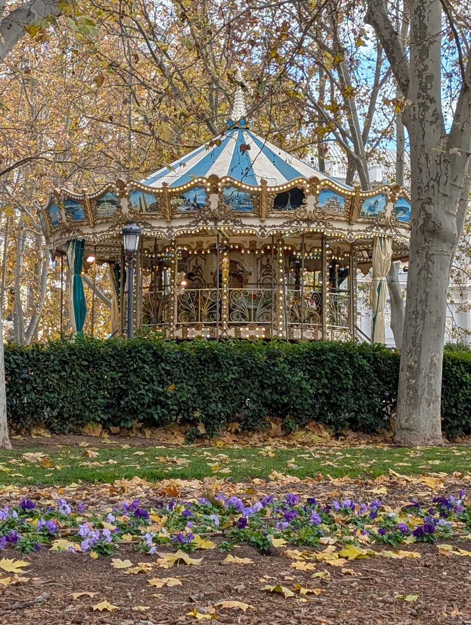 WhatsApp Image 2025-12-16 at 10.17.51 AM (3).jpeg