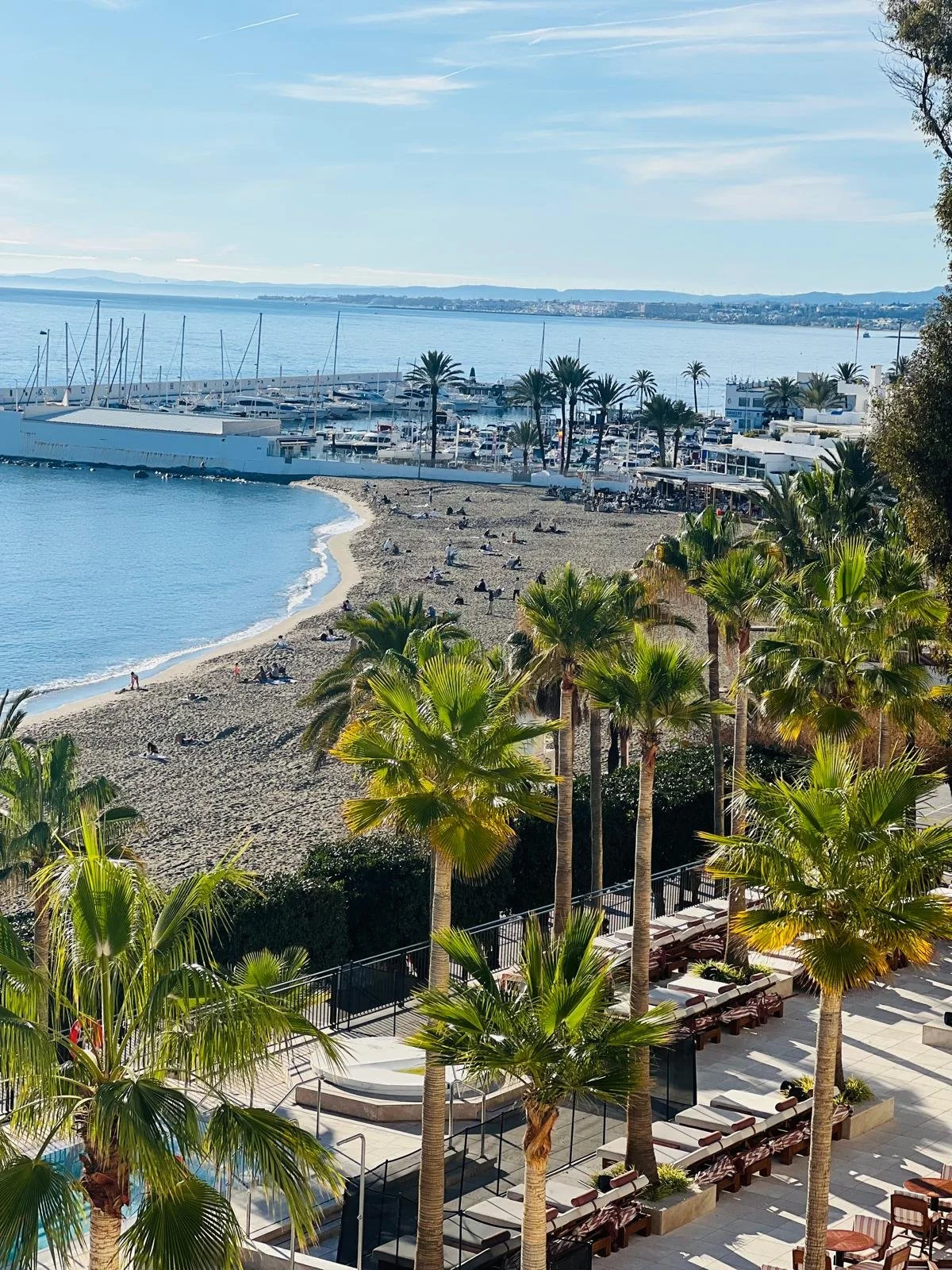 WhatsApp Image 2025-12-16 at 10.17.48 AM (3).jpeg