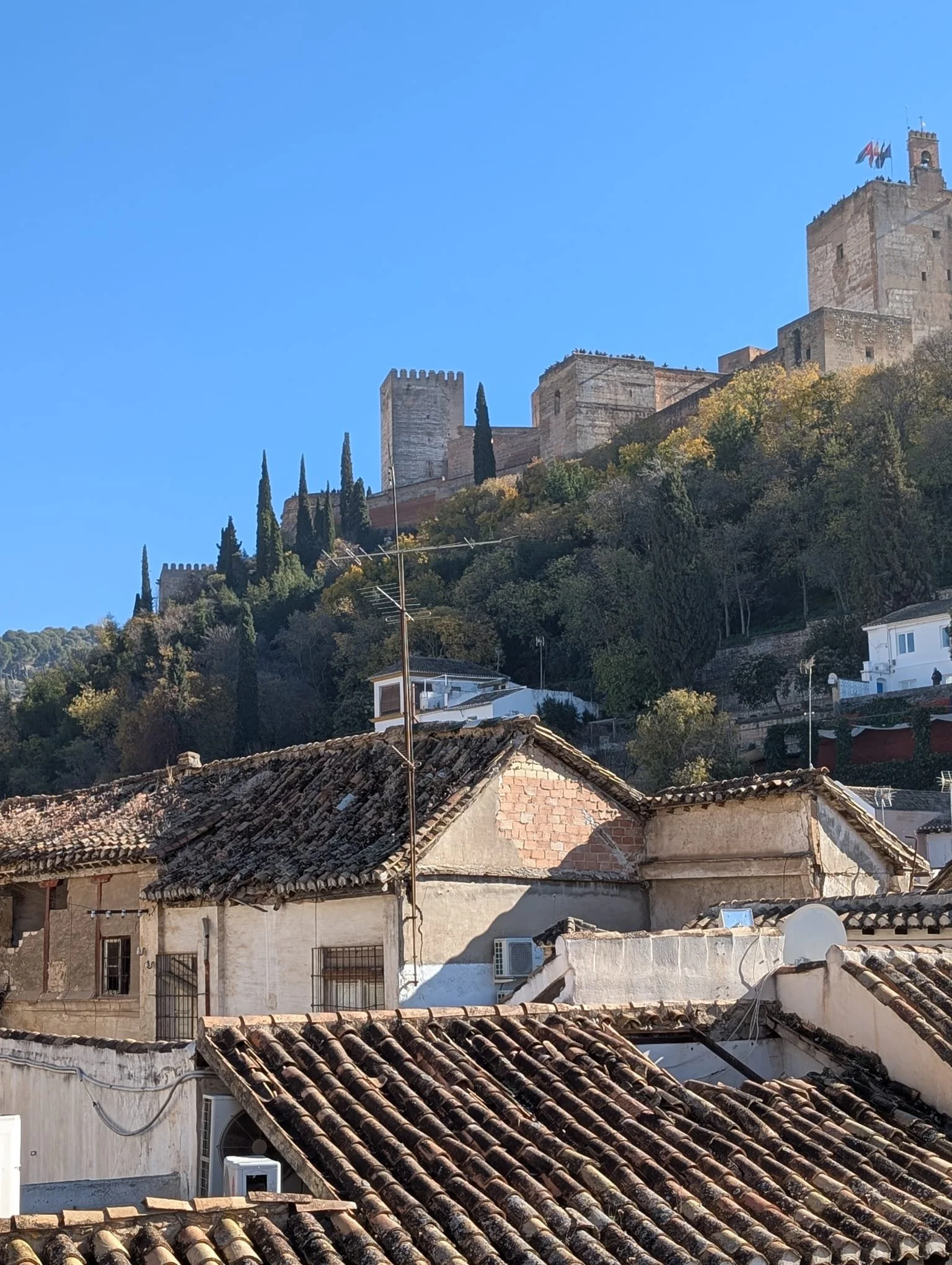 WhatsApp Image 2025-12-16 at 10.21.38 AM (6).jpeg