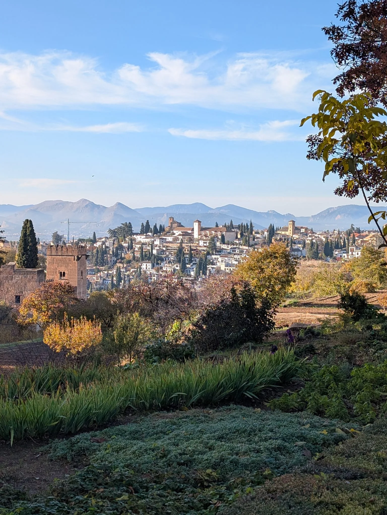 WhatsApp Image 2025-12-16 at 10.21.38 AM (4).jpeg