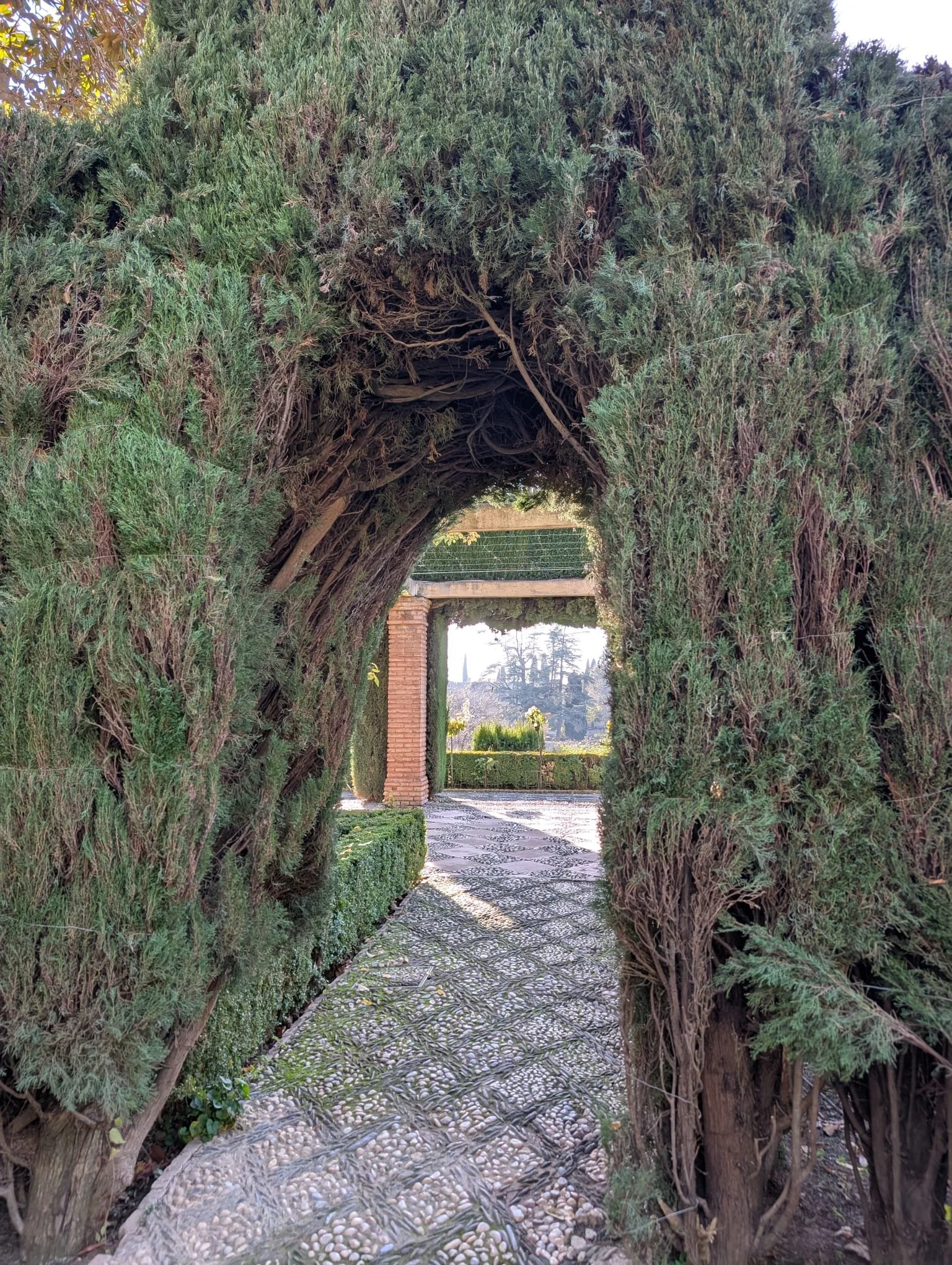 WhatsApp Image 2025-12-16 at 10.21.38 AM (3).jpeg