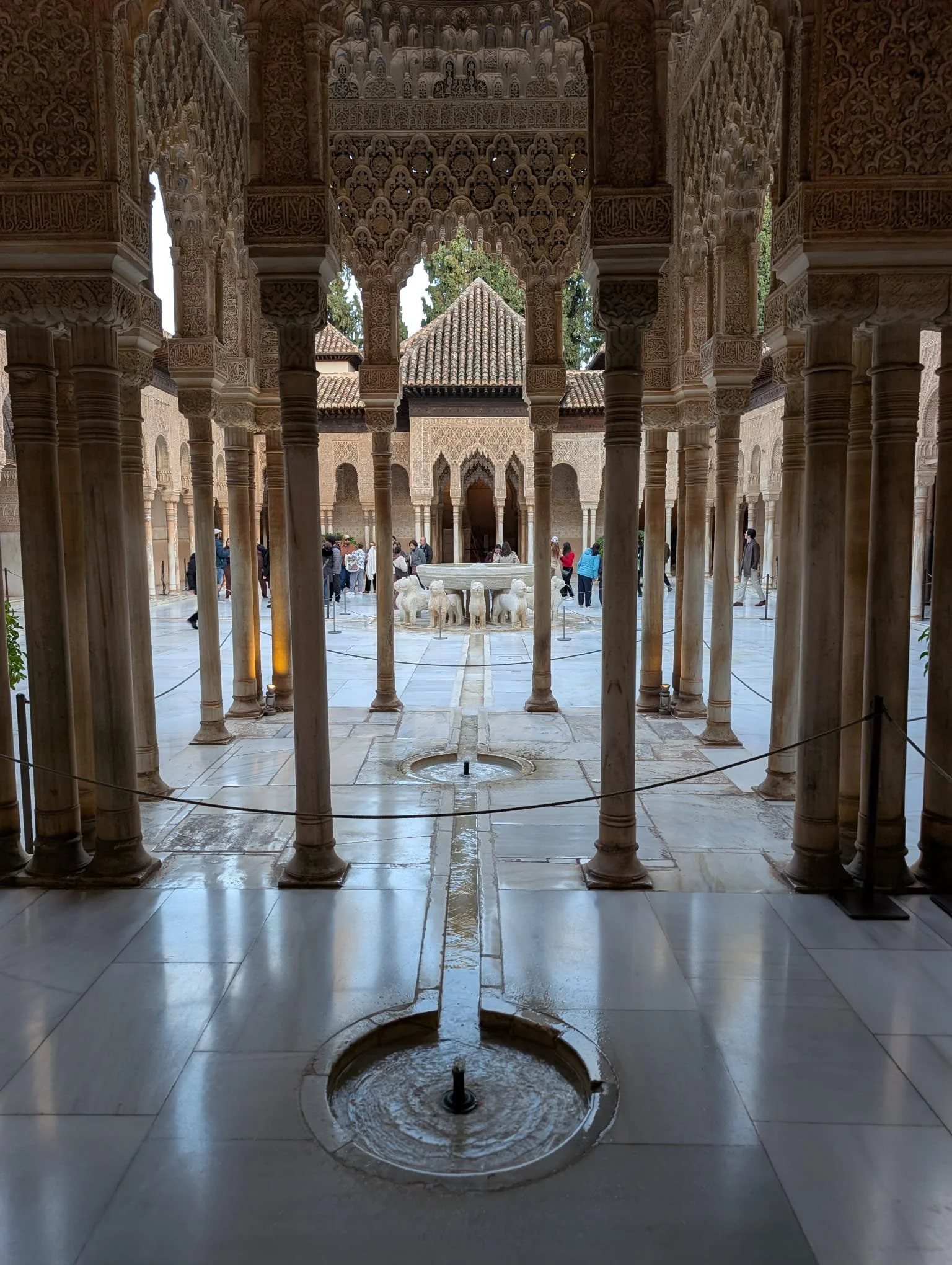 WhatsApp Image 2025-12-16 at 10.21.37 AM (4).jpeg