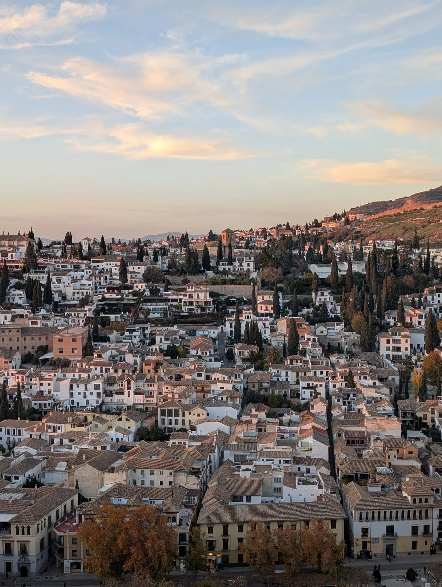 WhatsApp Image 2025-12-16 at 10.21.37 AM (3).jpeg