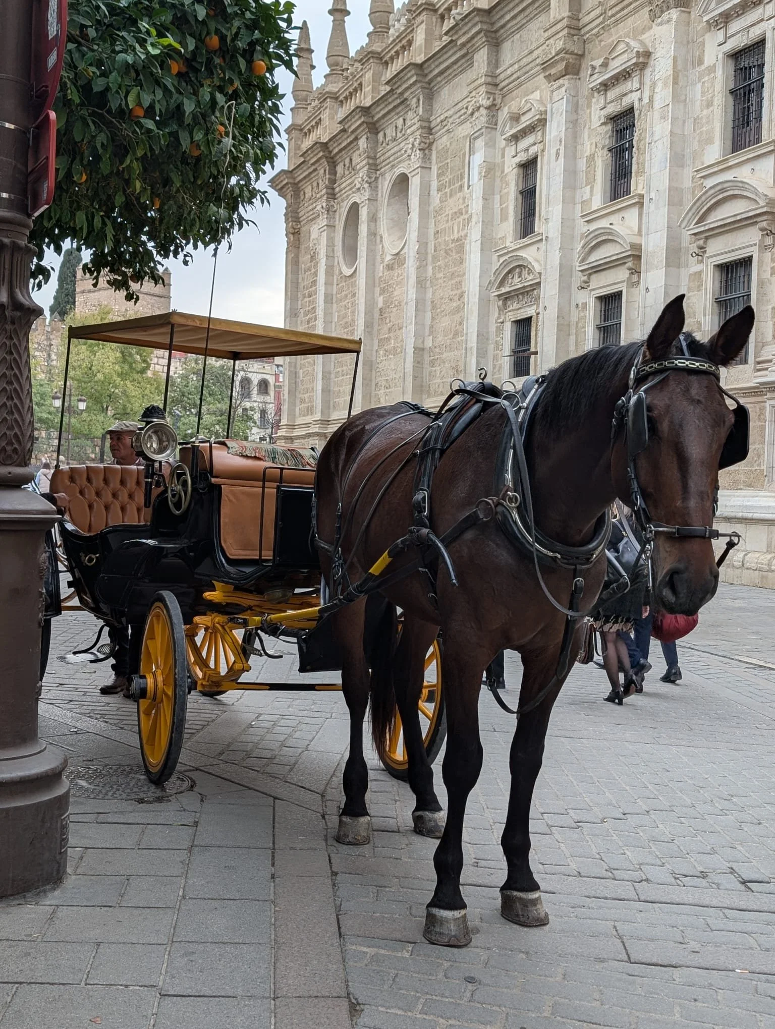 WhatsApp Image 2025-12-16 at 10.21.37 AM (1).jpeg