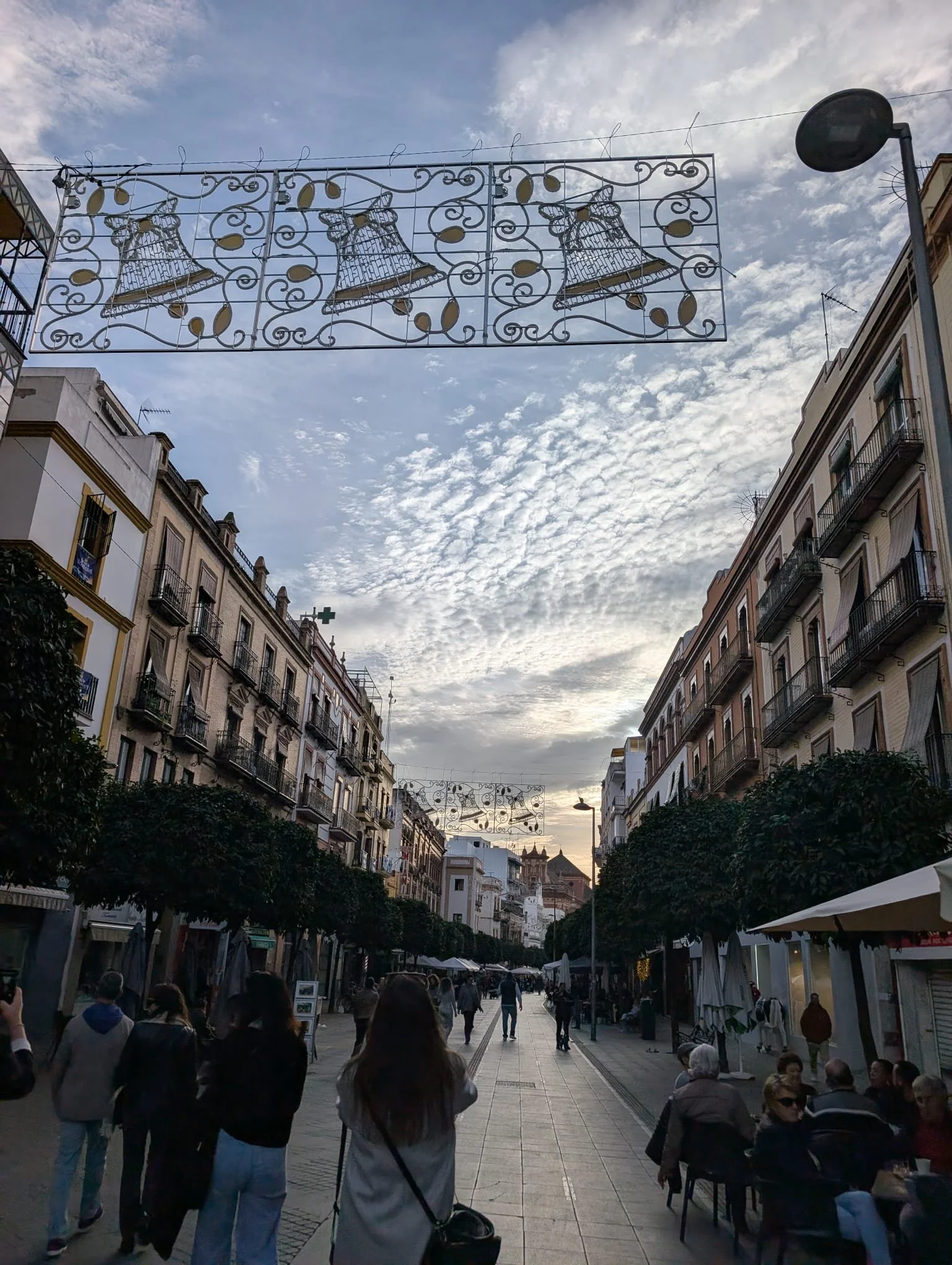 WhatsApp Image 2025-12-16 at 10.21.36 AM (3).jpeg