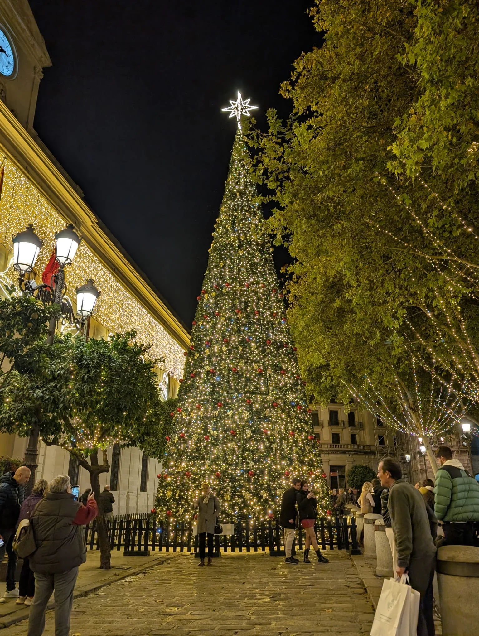 WhatsApp Image 2025-12-16 at 10.21.36 AM.jpeg