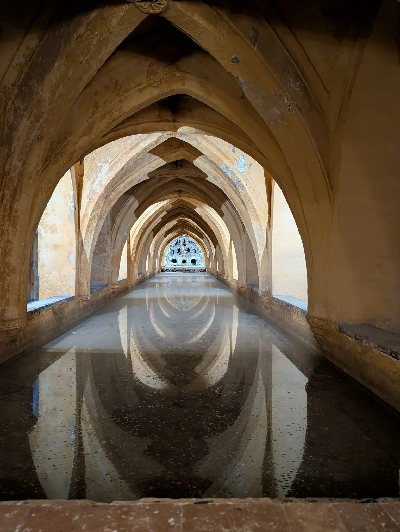 WhatsApp Image 2025-12-16 at 10.24.55 AM (2).jpeg