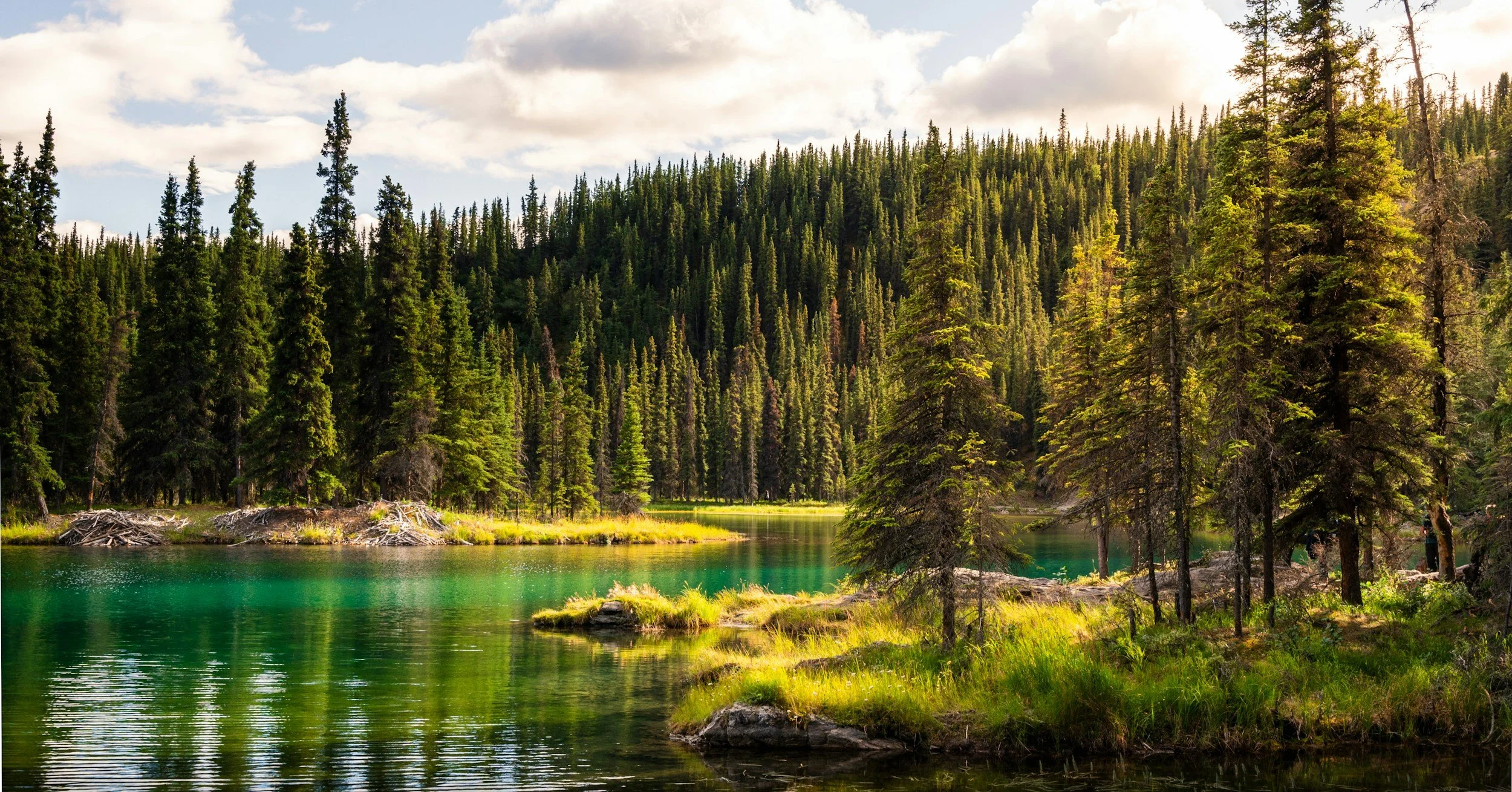 Alaska as a Family: An Adventure We'll Never Forget