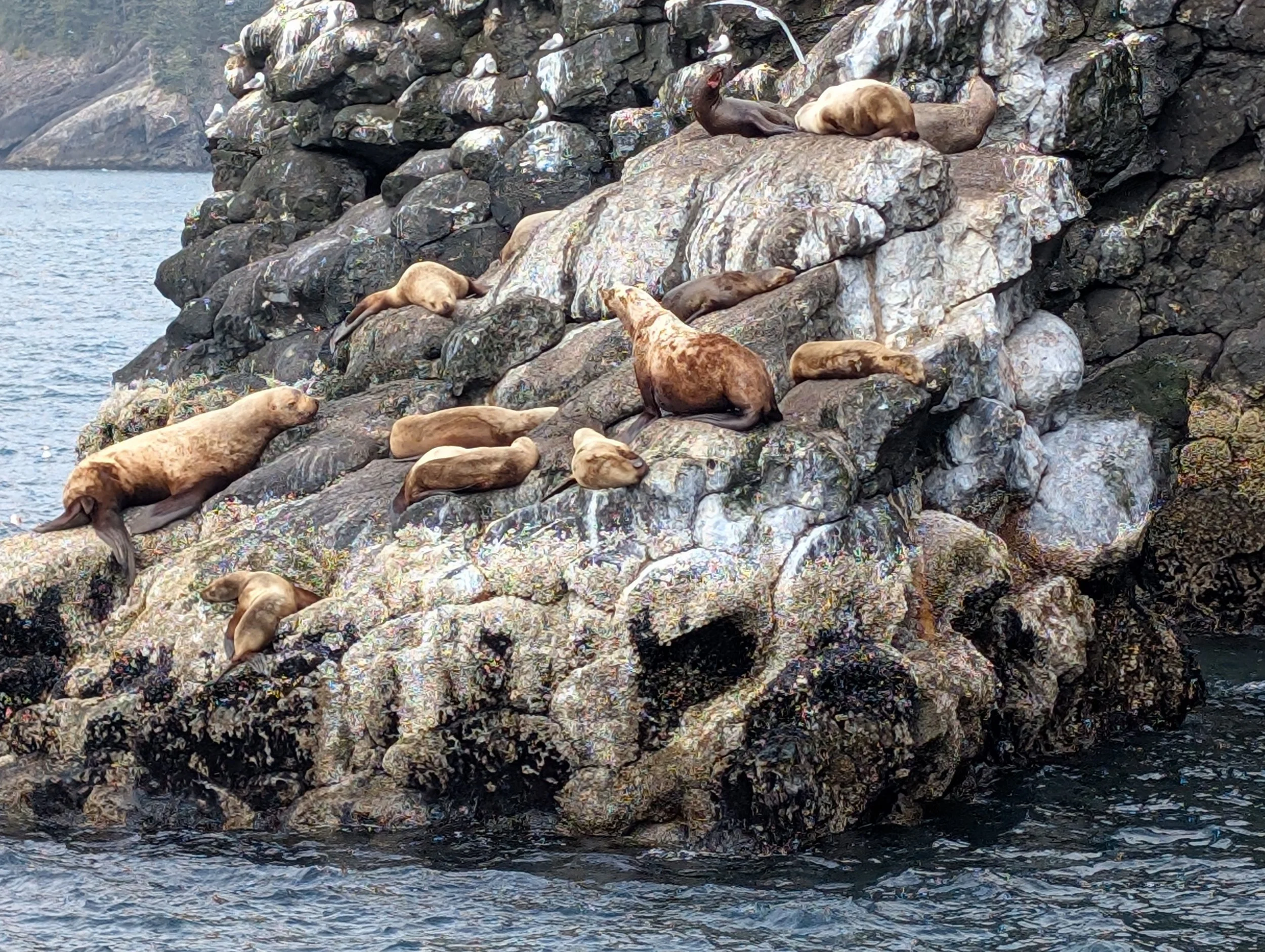 Seward, Alaska