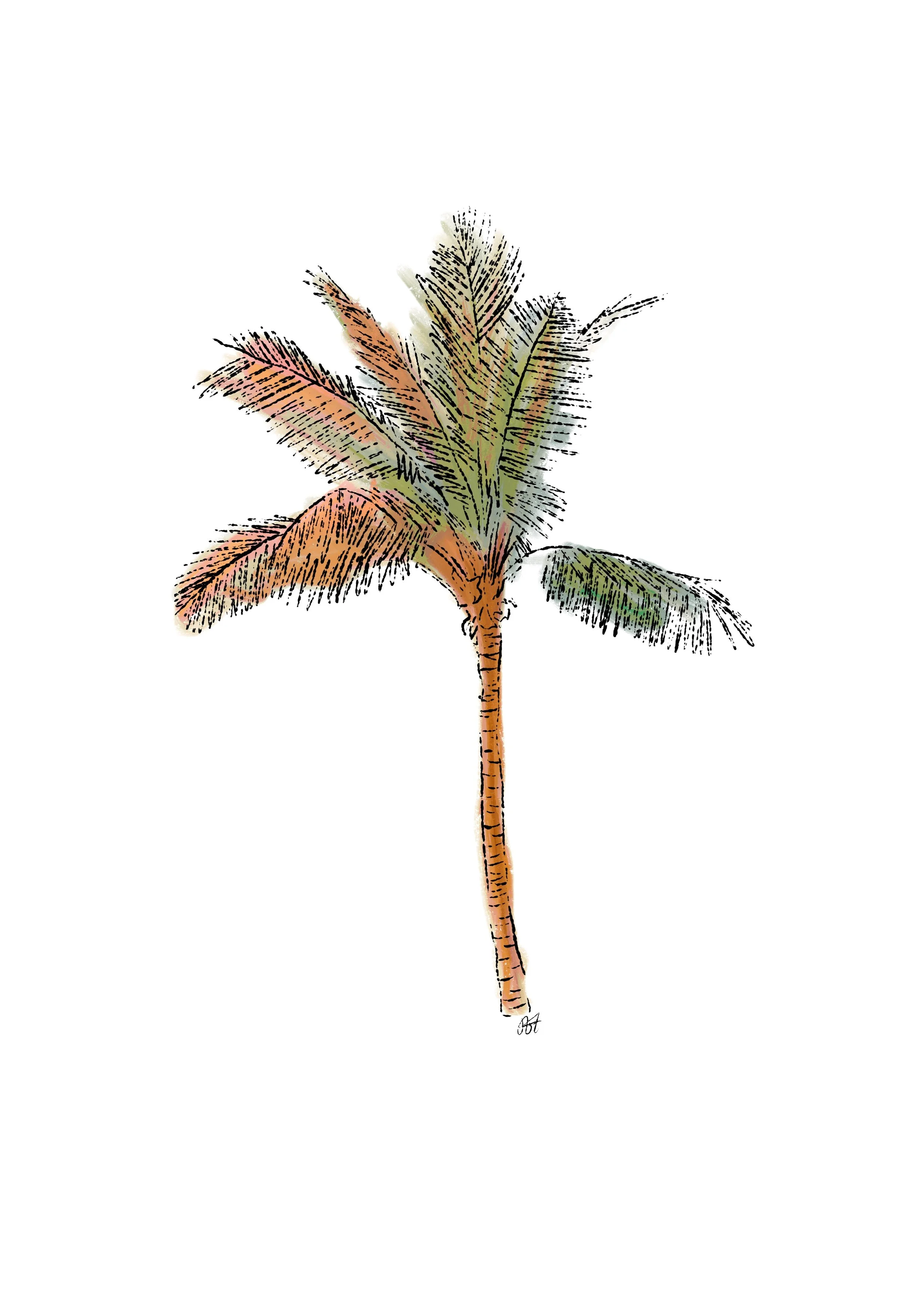 palm_tree_5x7.jpg