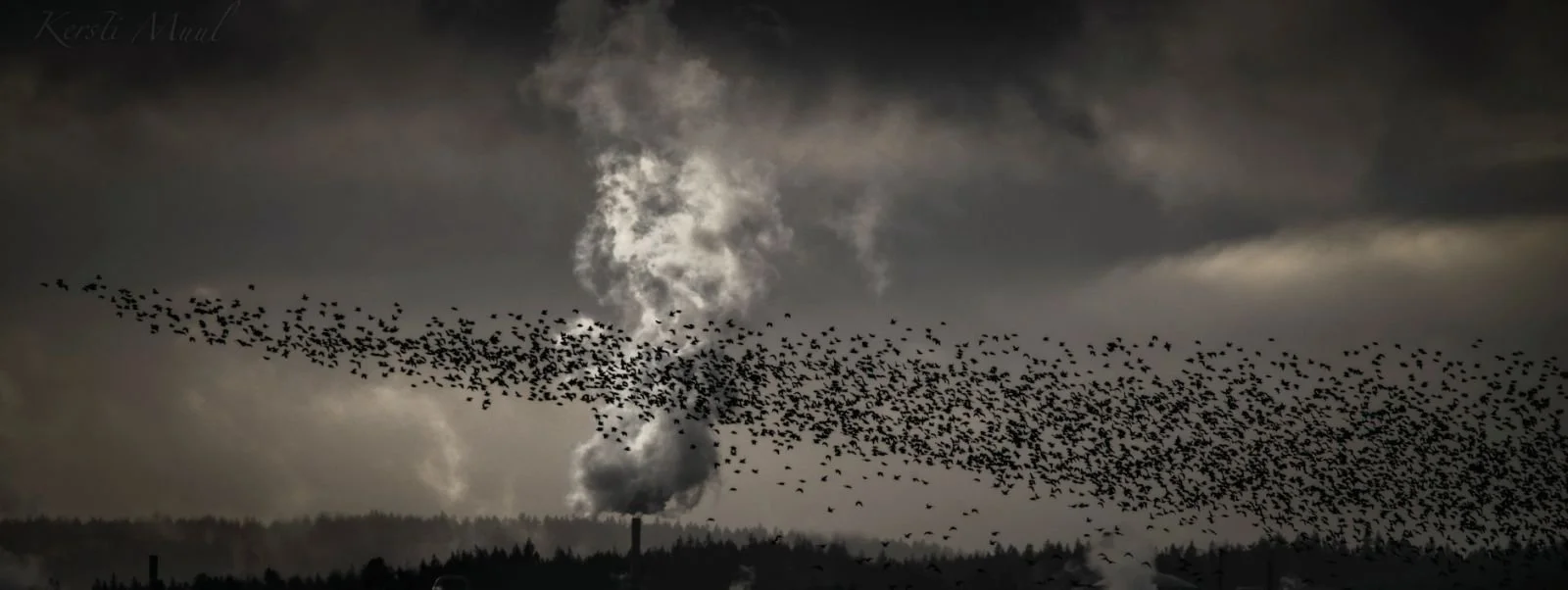 IMG-9289 (Kersti Muul).JPG