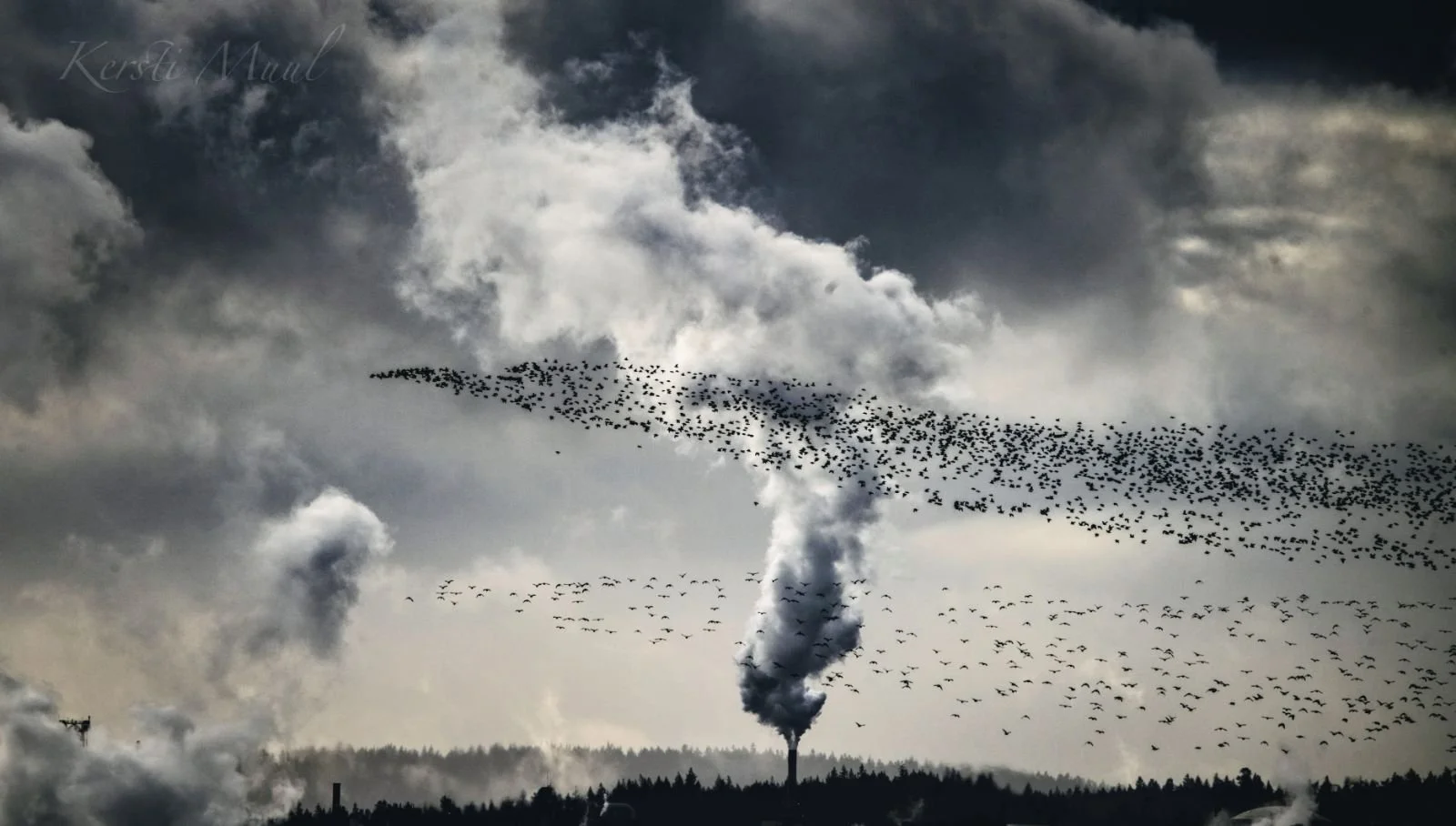 IMG-9288 (Kersti Muul).JPG